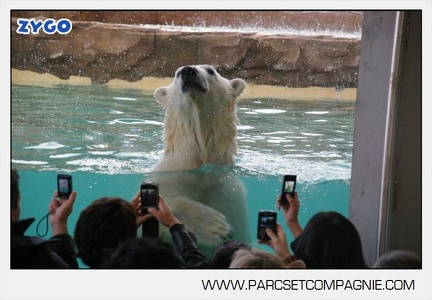 Marineland - Inauguration enclos ours polaires - 2744