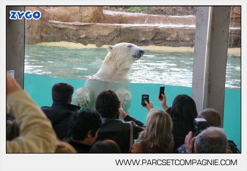 Marineland_-_Inauguration_enclos_ours_polaires_-_2745.jpg
