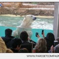 Marineland - Inauguration enclos ours polaires - 2745