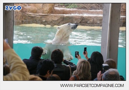 Marineland - Inauguration enclos ours polaires - 2746
