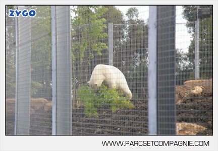 Marineland - Inauguration enclos ours polaires - 2747
