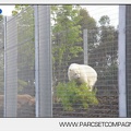 Marineland - Inauguration enclos ours polaires - 2748
