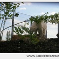 Marineland - Inauguration enclos ours polaires - 2749