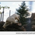 Marineland - Inauguration enclos ours polaires - 2754