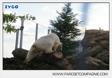 Marineland - Inauguration enclos ours polaires - 2755