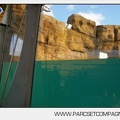 Marineland - Inauguration enclos ours polaires - 2777