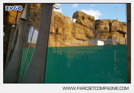 Marineland - Inauguration enclos ours polaires - 2777