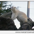 Marineland - Inauguration enclos ours polaires - 2779