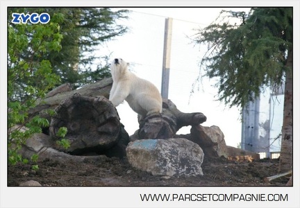 Marineland - Inauguration enclos ours polaires - 2781