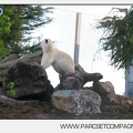 Marineland - Inauguration enclos ours polaires - 2782