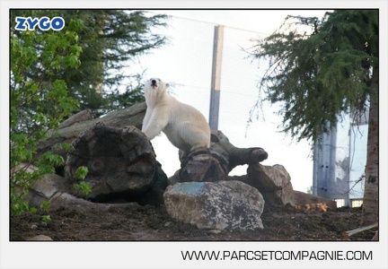 Marineland - Inauguration enclos ours polaires - 2782
