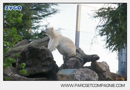 Marineland - Inauguration enclos ours polaires - 2783