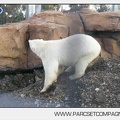 Marineland - Inauguration enclos ours polaires - 2784