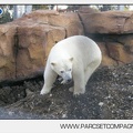 Marineland - Inauguration enclos ours polaires - 2786