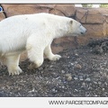Marineland - Inauguration enclos ours polaires - 2788