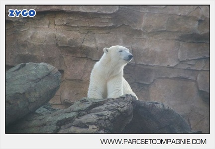 Marineland - Inauguration enclos ours polaires - 2792
