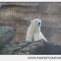 Marineland - Inauguration enclos ours polaires - 2793