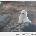 Marineland - Inauguration enclos ours polaires - 2796