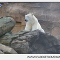 Marineland - Inauguration enclos ours polaires - 2798
