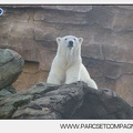 Marineland - Inauguration enclos ours polaires - 2799