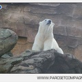 Marineland - Inauguration enclos ours polaires - 2801