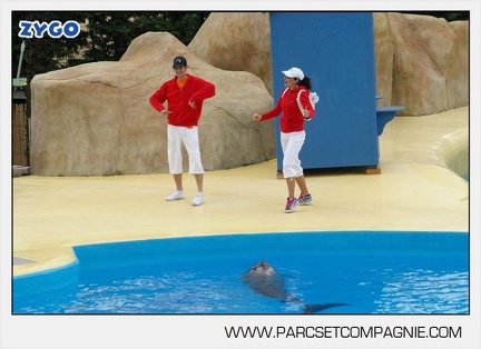 Marineland - Dauphins - Spectacle 14h30 - 2802