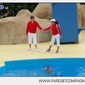 Marineland - Dauphins - Spectacle 14h30 - 2803