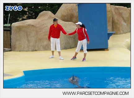 Marineland - Dauphins - Spectacle 14h30 - 2803