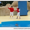 Marineland - Dauphins - Spectacle 14h30 - 2804
