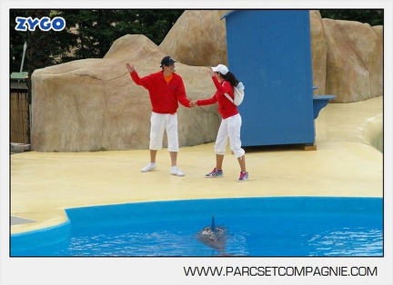 Marineland - Dauphins - Spectacle 14h30 - 2804