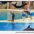 Marineland - Dauphins - Spectacle 14h30 - 2807