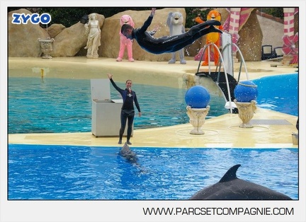 Marineland - Dauphins - Spectacle 14h30 - 2807