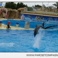 Marineland - Dauphins - Spectacle 14h30 - 2808