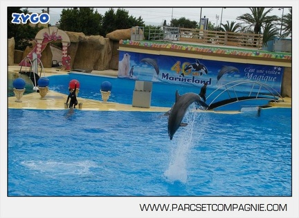Marineland - Dauphins - Spectacle 14h30 - 2808