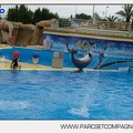 Marineland - Dauphins - Spectacle 14h30 - 2809