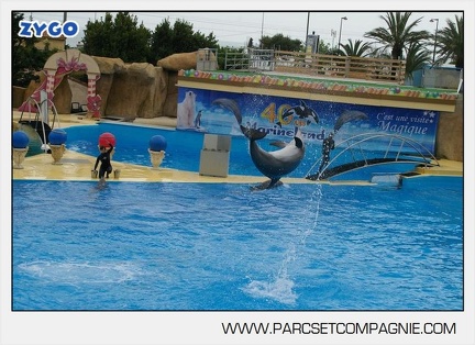 Marineland - Dauphins - Spectacle 14h30 - 2809