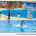 Marineland - Dauphins - Spectacle 14h30 - 2810