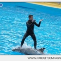 Marineland - Dauphins - Spectacle 14h30 - 2811