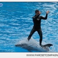Marineland - Dauphins - Spectacle 14h30 - 2812