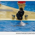Marineland - Dauphins - Spectacle 14h30 - 2813