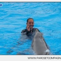 Marineland - Dauphins - Spectacle 14h30 - 2814