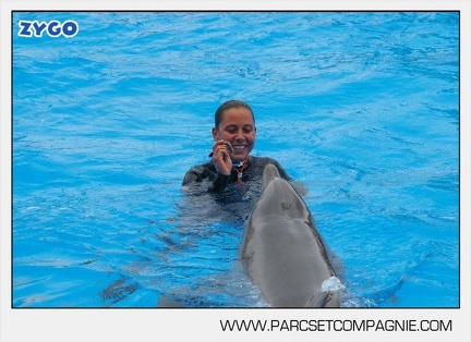 Marineland - Dauphins - Spectacle 14h30 - 2814