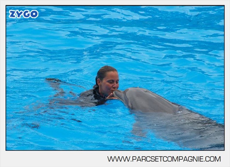 Marineland - Dauphins - Spectacle 14h30 - 2815