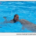 Marineland - Dauphins - Spectacle 14h30 - 2815