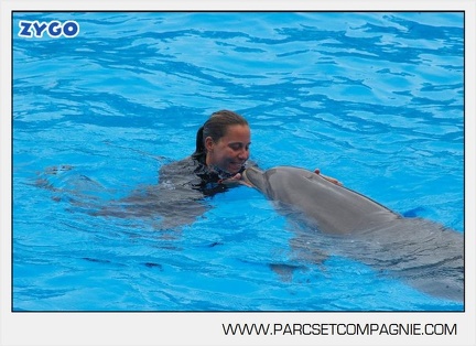 Marineland - Dauphins - Spectacle 14h30 - 2816