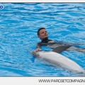 Marineland - Dauphins - Spectacle 14h30 - 2817