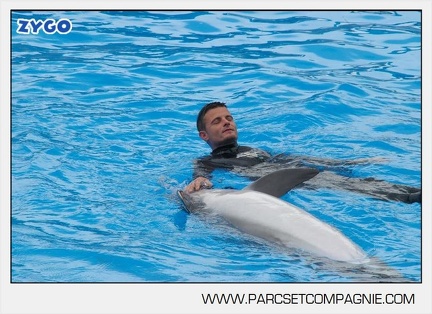 Marineland - Dauphins - Spectacle 14h30 - 2817