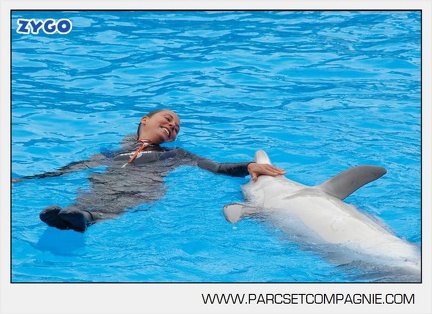 Marineland - Dauphins - Spectacle 14h30 - 2818