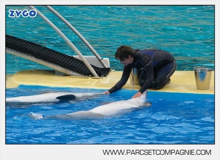 Marineland - Dauphins - Spectacle 14h30 - 2819