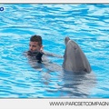 Marineland - Dauphins - Spectacle 14h30 - 2820